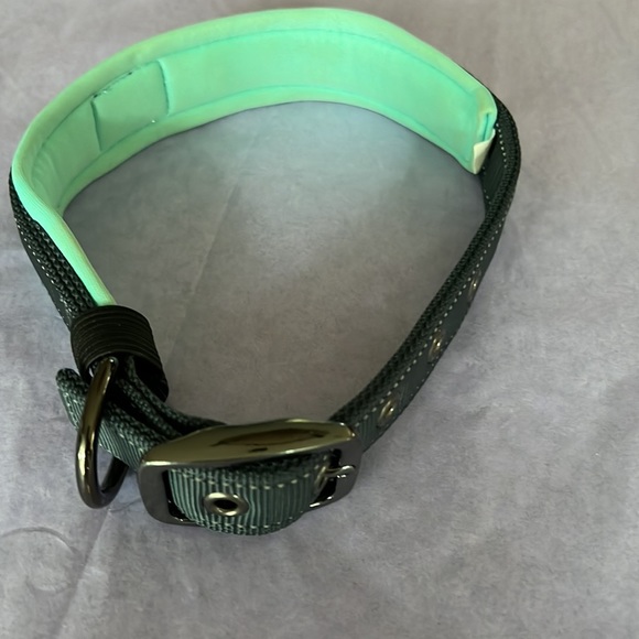 Black rhino dog collar - Picture 2 of 5